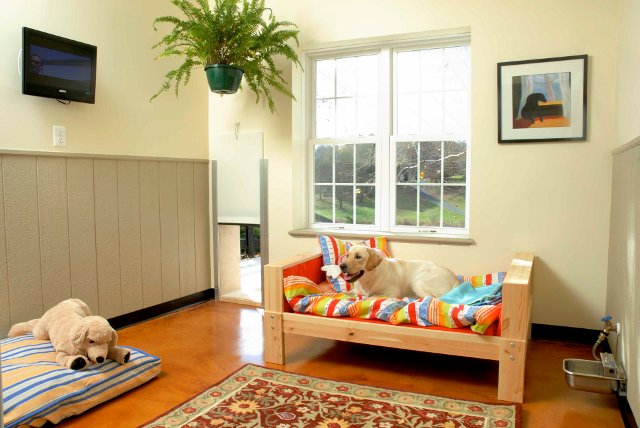 Find the Right Dog Boarding in Los Angeles
